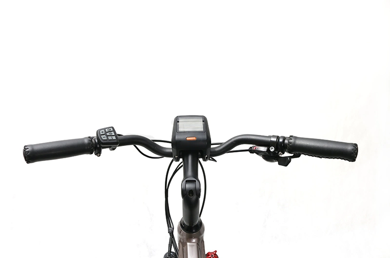 Buy Cheap Ebikes Online