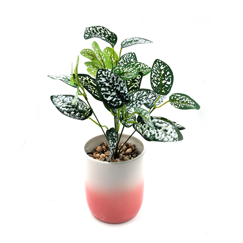 Simulation Plastic Ceramic Succulent Flower Planter Pot for Desktop Decoration