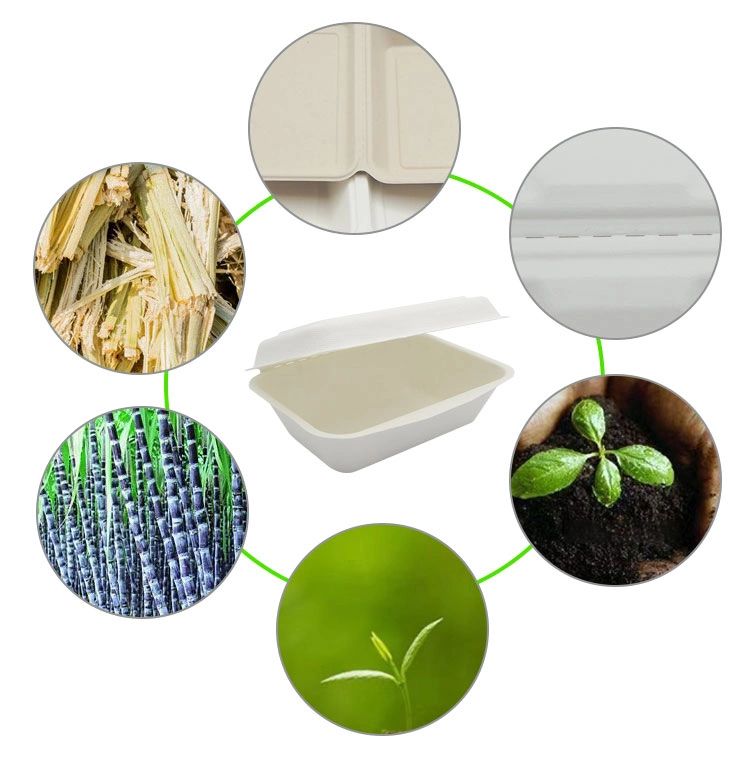 Disposable Biodegradable Square Plates Made From 100%Natural Sugarcane Fibers Compostable Eco Friendly Ceramic Dish