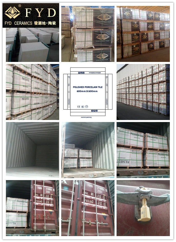 Fyd Ceramic-Marble Effect Glazed Porcelain Tile 82005