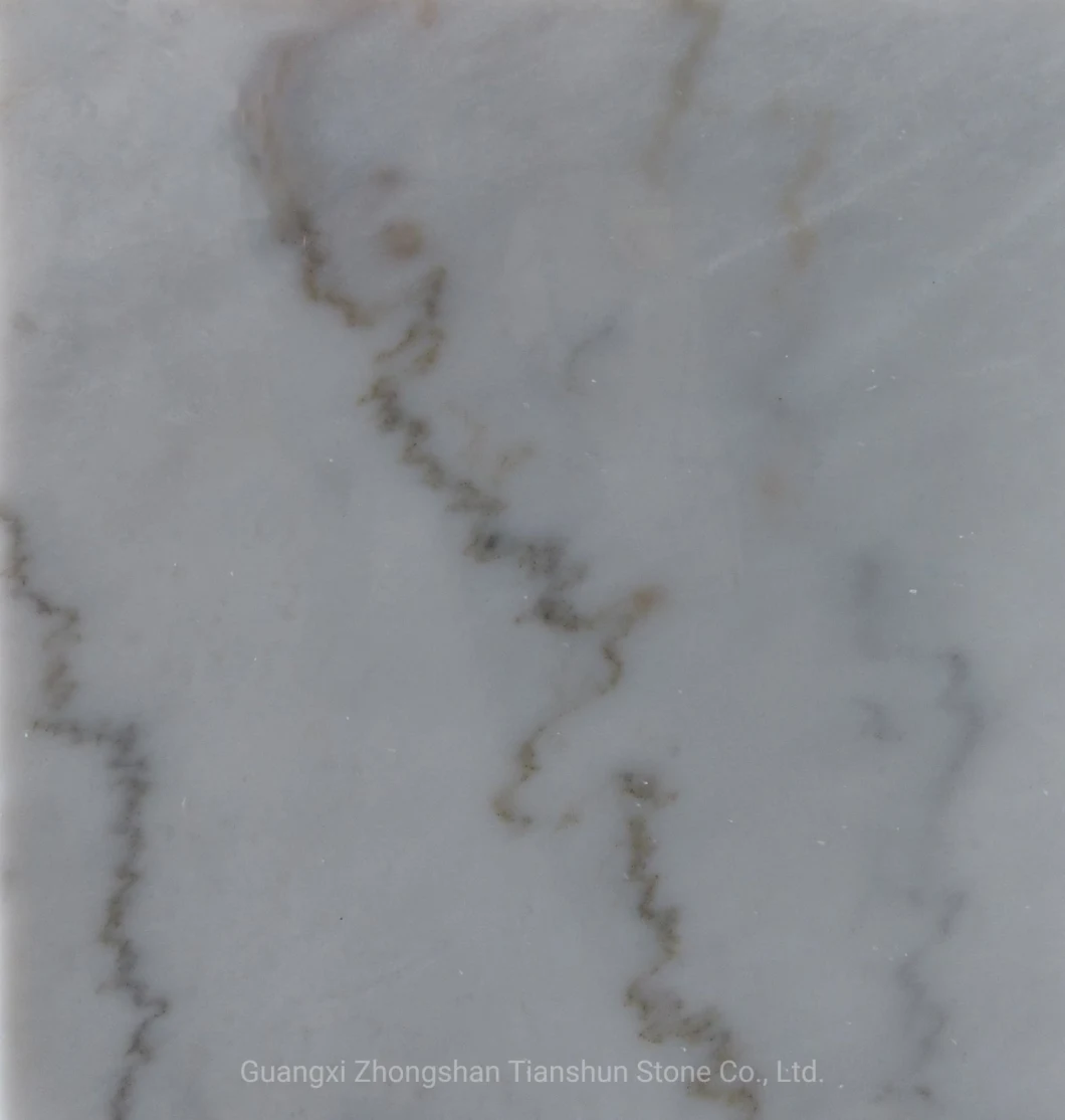 Project Marble Tiles White Grey Marble