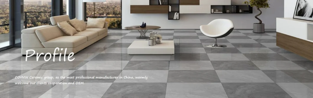 Marble Glazed Grey Bathroom and Kitchen Wall Floor Tiles (300*600mm)