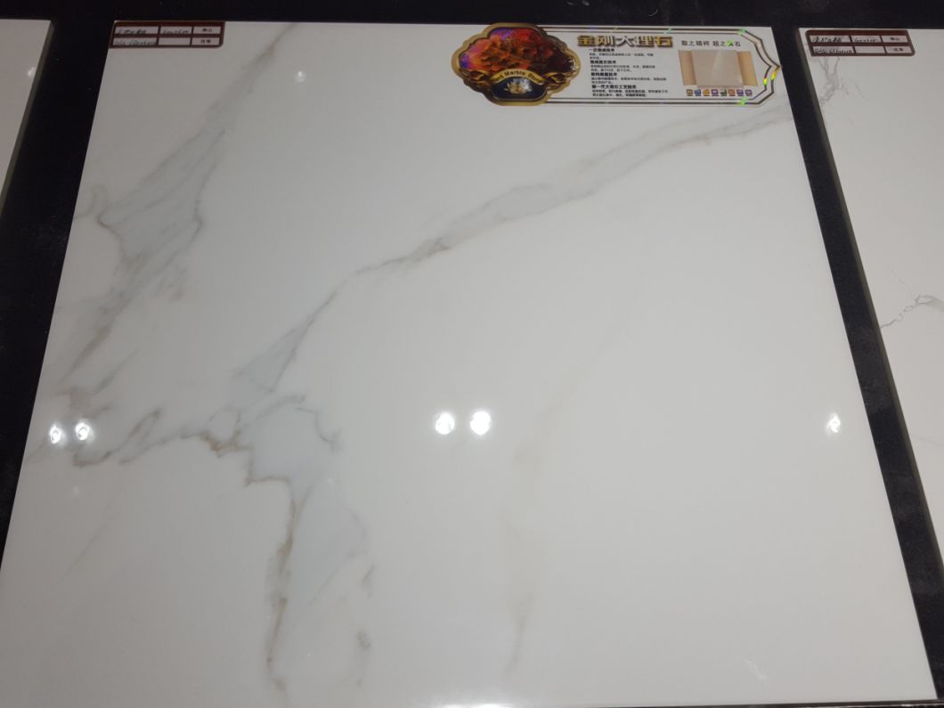 66e0401q Glazed Porcelain Tile/Floor Tile/Wall Tile/Marble Tile/600*600 with 1% Water Absorption