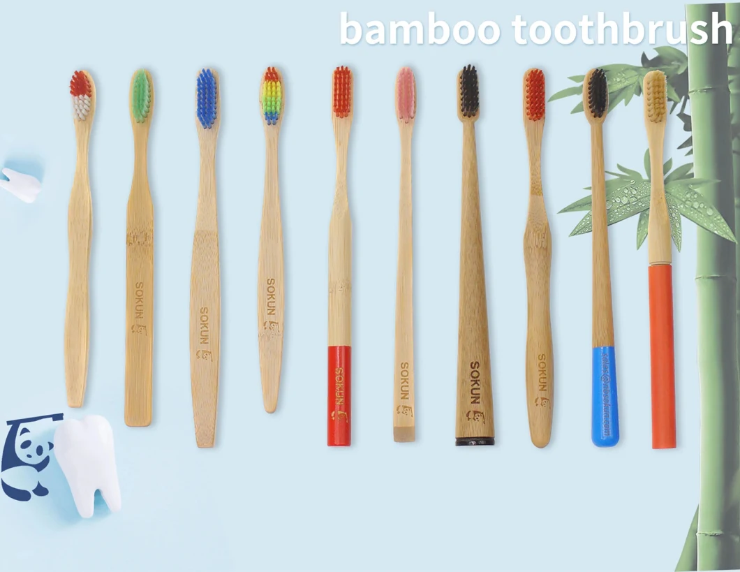 Custom Logo Eco-Friendly Natural Bamboo Toothbrush with Case, Bristle Charcoal Bamboo Tooth Brush