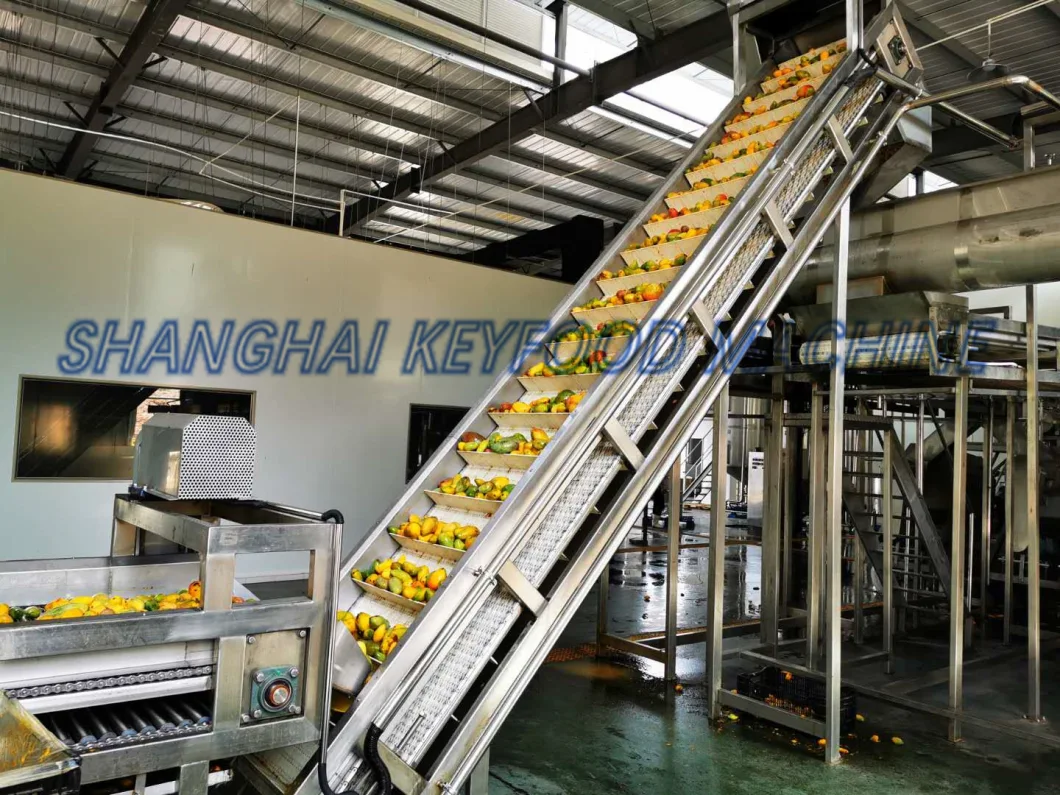 Fruit Juice Processing Machine & Fruit Juice Production Line