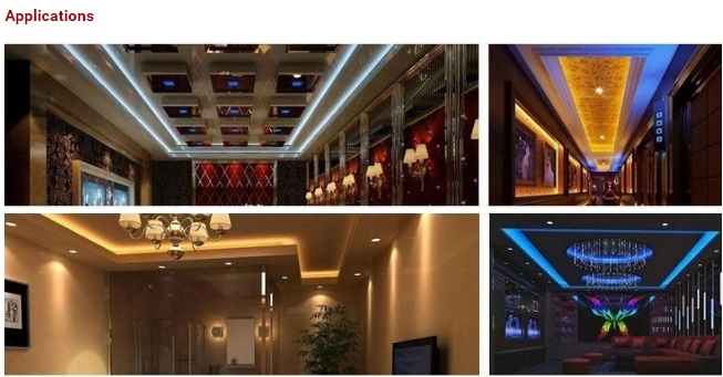 Color Changing Flexible RGB Waterproof out LED Strip Light with IC Ws2811 Magic Color