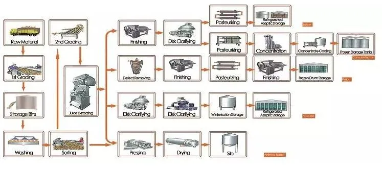 Fruit Juice Processing Line/Dragon Fruit Puree Processing Line/Kiwi Fruit Juice Production Line/Kiwi Fruit Puree Processing Line/Lemon Juice Machine