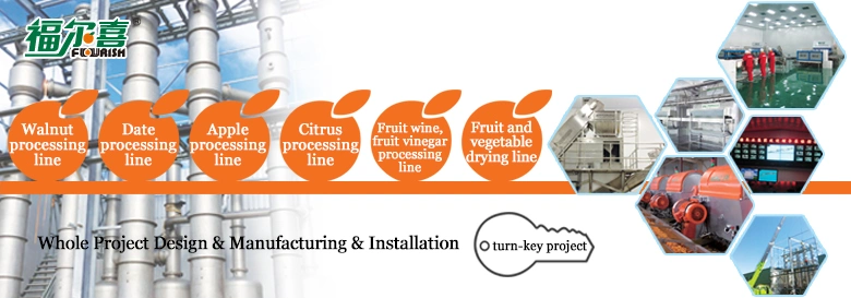 Fruit Juice Processing Line/Dragon Fruit Puree Processing Line/Kiwi Fruit Juice Production Line/Kiwi Fruit Puree Processing Line/Lemon Juice Machine