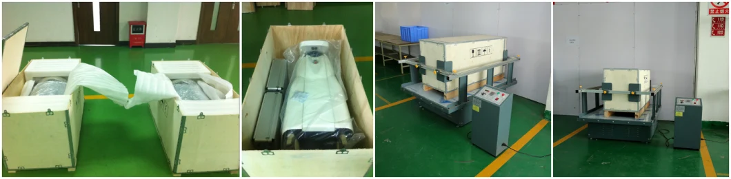 Professional IPL Photo Rejuvenation Pigmented Lesion/Vascular Lesion Treatment Machine