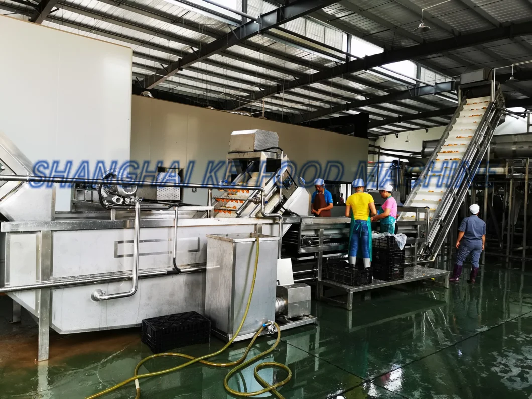 Fruit Juice Processing Machine & Fruit Juice Production Line