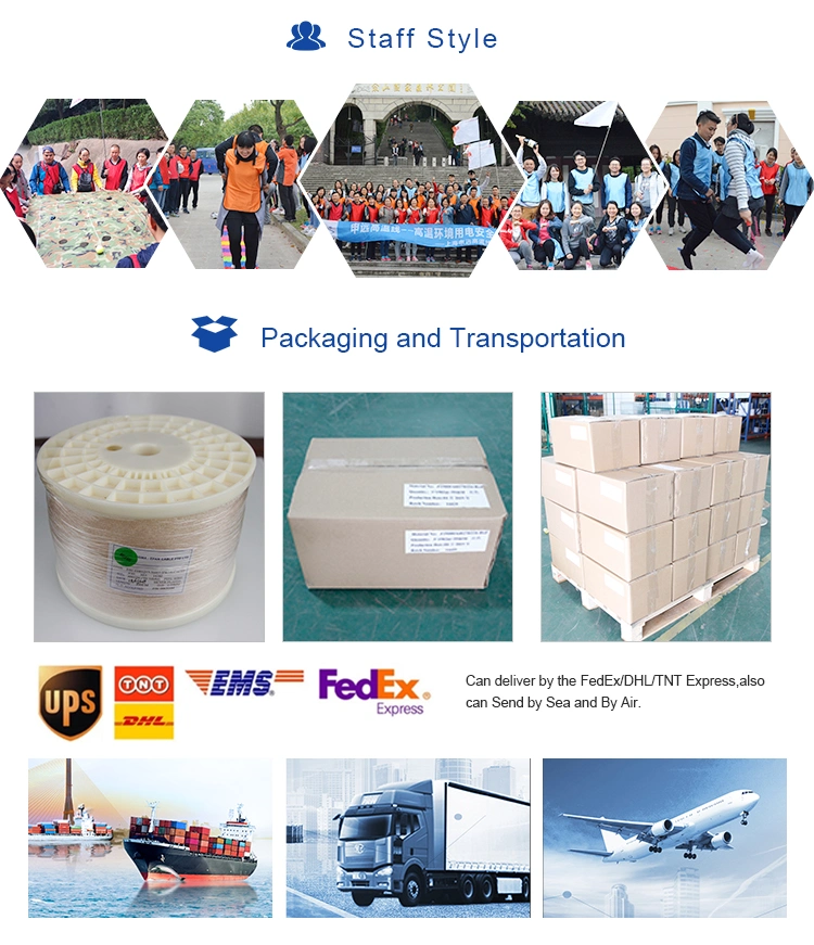 Oil Resistant Heat Resistant Silver Plated Copper Fluoroplastic Insulated Wire