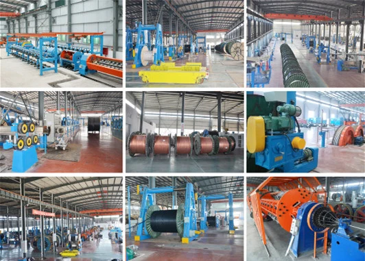 Fire Resistance Copper Conductor PVC Insulation Electric Wire Cable