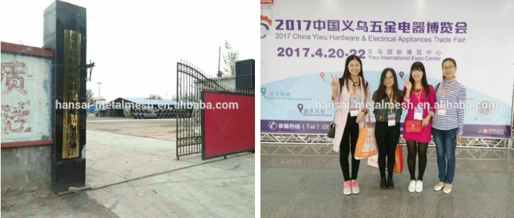 Corrosion Resistance Aluminum Insect Screen Mesh Suitable for Damp Environment Use