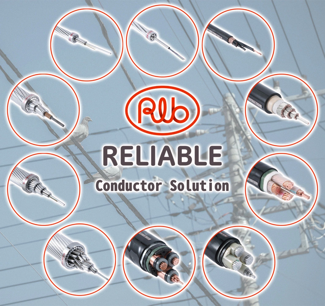 Hard -Drawn 30% Conductivity Aluminum Clad Steel Wire/Aw From China