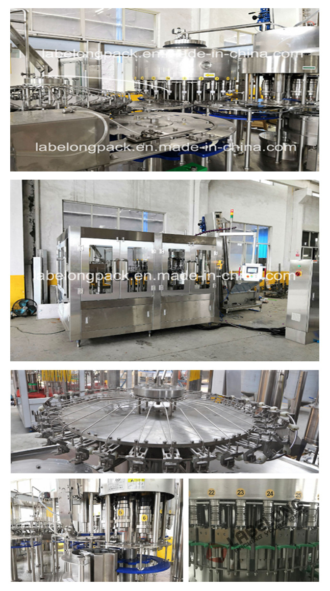 3000bph Automatic Sparkling Water/Natural Water/Soda Water Washing Filling Capping Bottling Machine