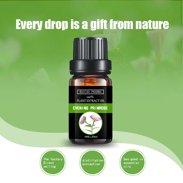 Wholesale Buy Natural and Pure Aromatherapy Evening Primrose Oil Essential Oil