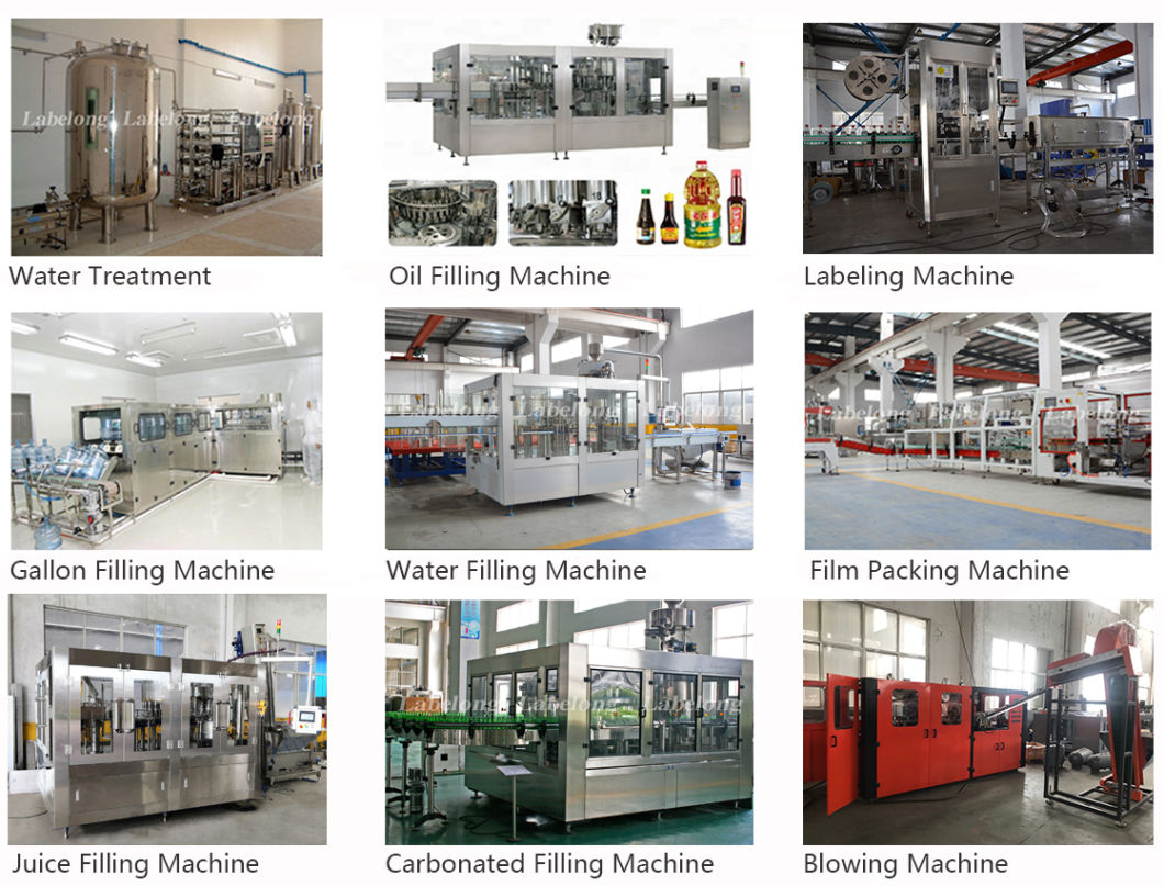 3000bph Automatic Sparkling Water/Natural Water/Soda Water Washing Filling Capping Bottling Machine