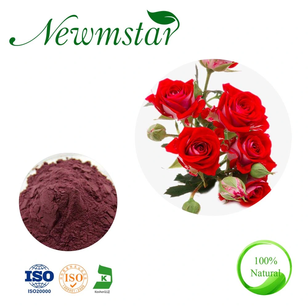 Organic Wholesale 100% Natural Pure Red Rose Flower Petal Extract Powder for Costmetic