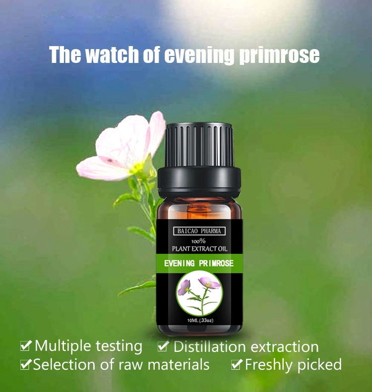 Wholesale Buy Natural and Pure Aromatherapy Evening Primrose Oil Essential Oil