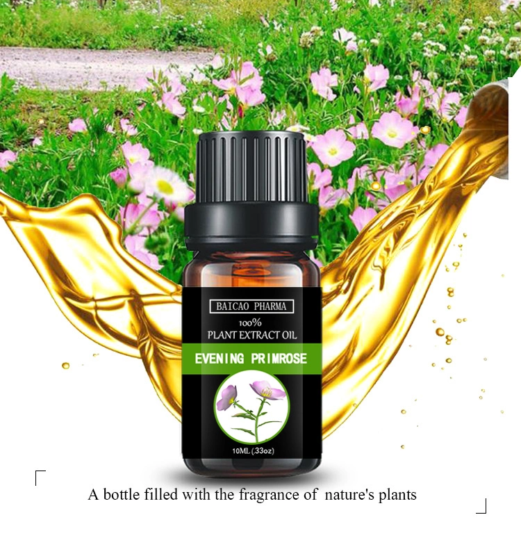 Wholesale Buy Natural and Pure Aromatherapy Evening Primrose Oil Essential Oil