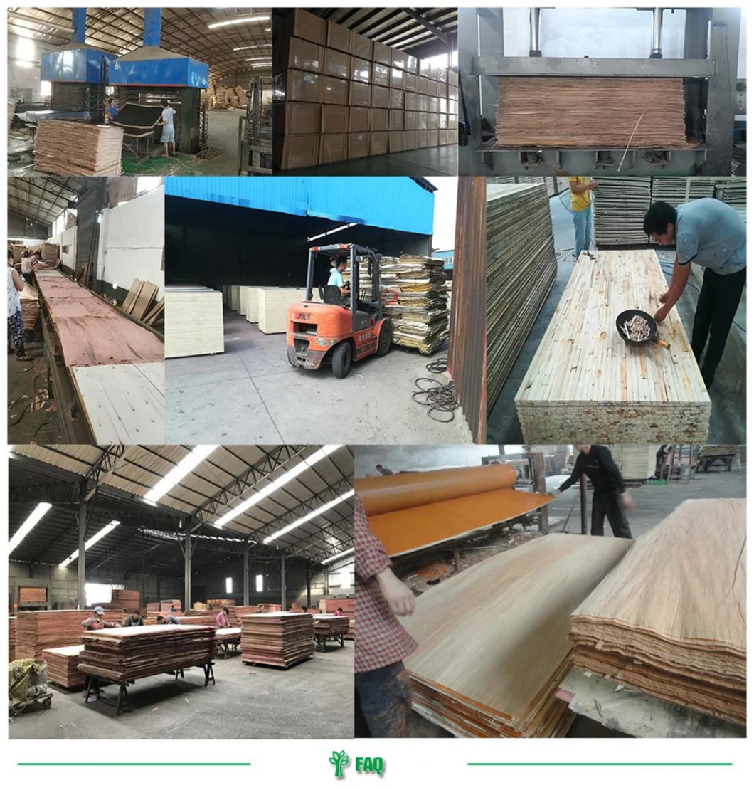 Standard Size Film Faced Plywood for Building Materials