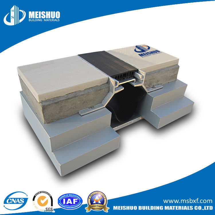 Modular Flush Mounted EPDM Concrete Expansion Joint in Driveway