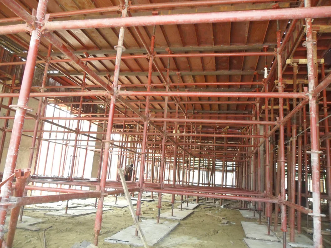 Ringlock Scaffolding for Concrete Slab Forming with SGS Test Report