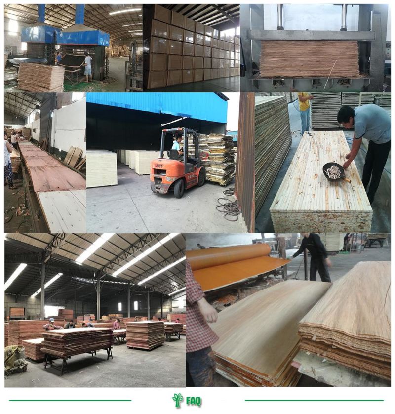 Top Quality Many Plies 15mm/20mm/28mm Plywood for Container Flooring