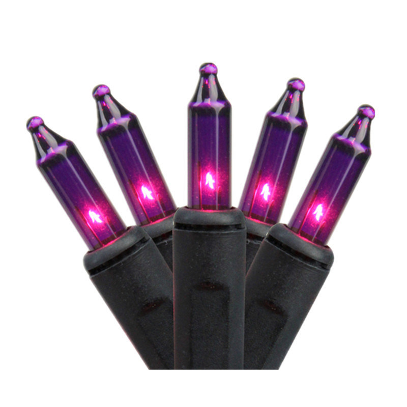 100-Count Orange Halloween Light with Black Wire