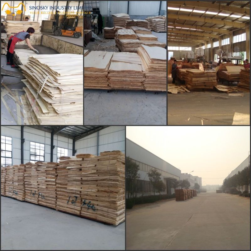 Actory Price Linyi Poplar Packing LVL Timber Wood Lumber Wholesale