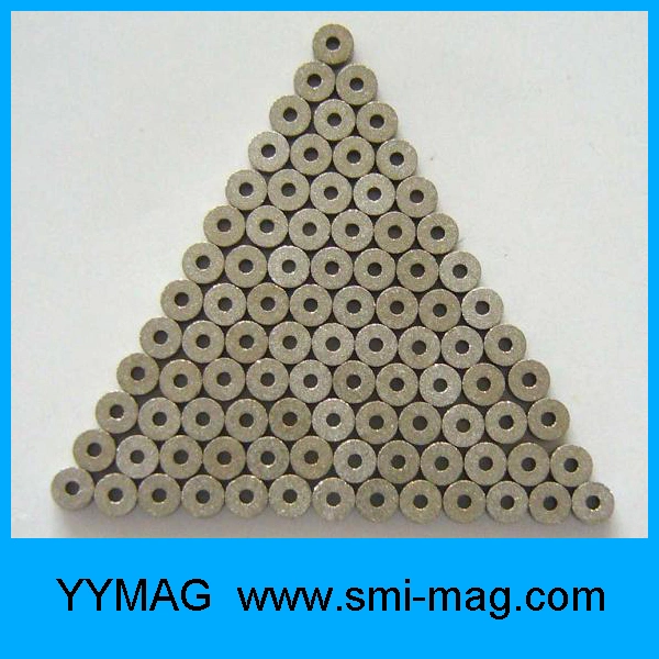 Sintered Neodymium/ Ferrite/ SmCo Magnet Mini Magnet