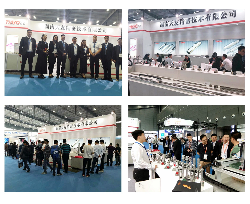 Rail Linear Guide for Motorized Linear Stage or DC Motor or Linear Actuator