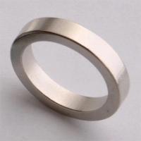 Isotropic Ring Magnet Good China Factory Price Sintered Plate Shape Neodymium Magnet