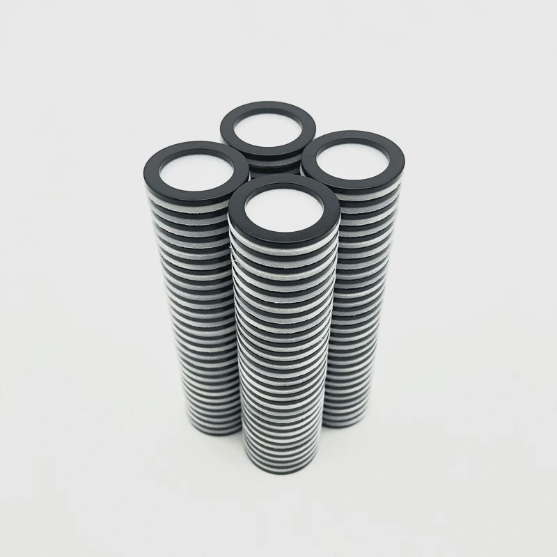 Permanent Strong Ring Neodymium Speaker Magnet Epoxy Coating