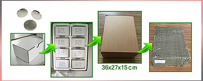 Strong Zinc Coating Disc Neodymium Magnet (N35, N38, N42, N45)