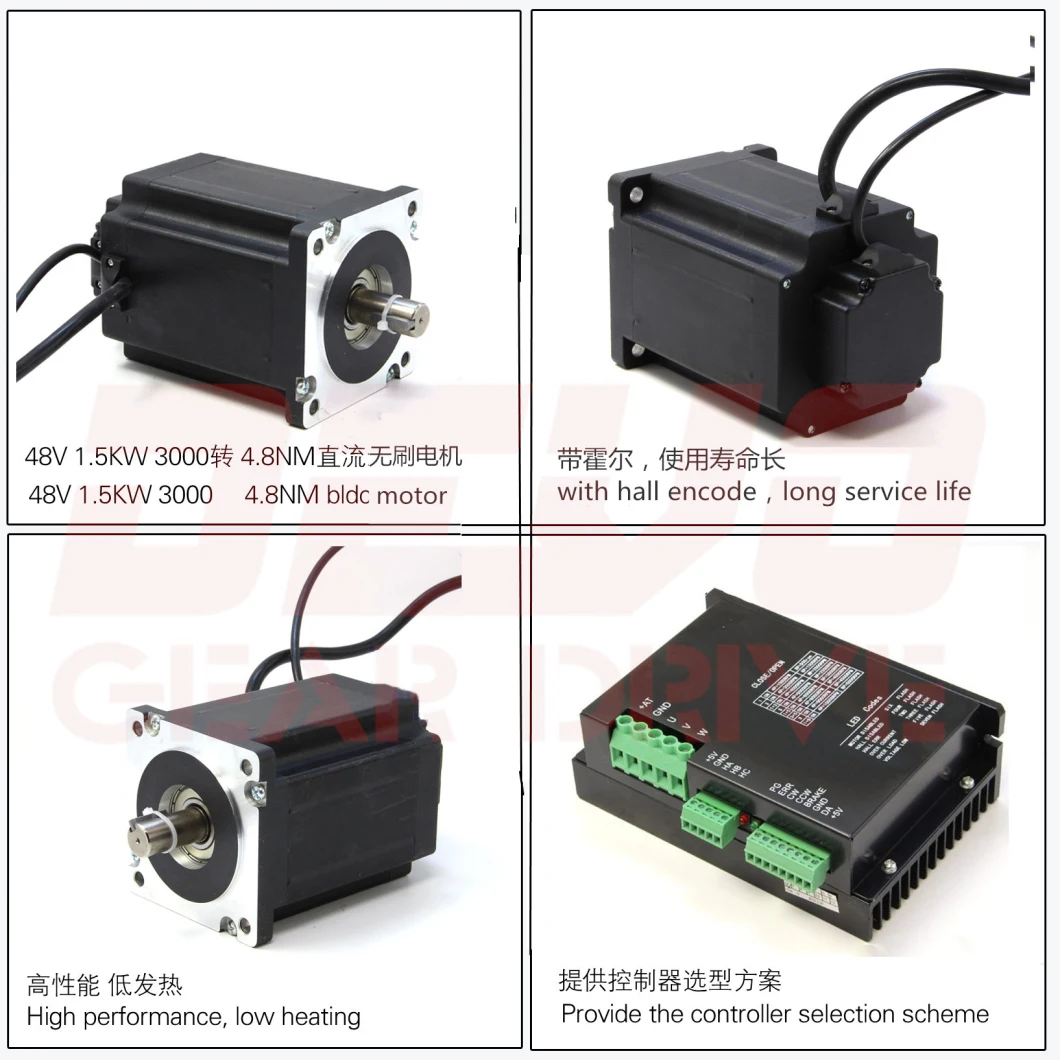 Hot Sale Permanent Magnet DC Motor 12V 24V DC Motor Reducer for Drive