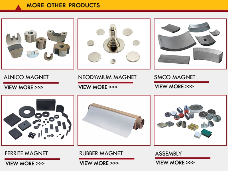 Sintered Segment Arc Magnets High Performance Ferrite Magnets