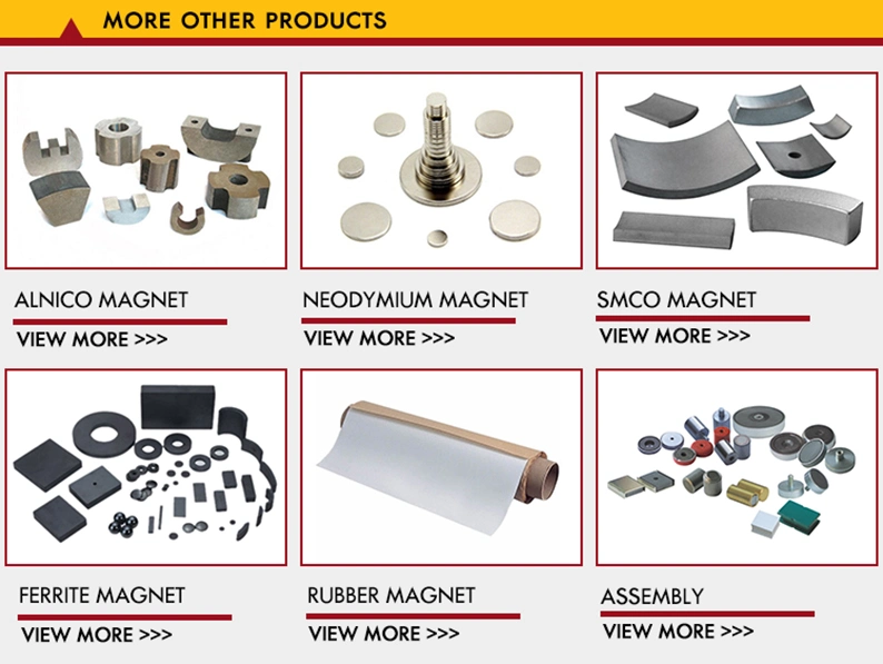 Customized Neodymium Magnet Sintered Countersunk Hole Magnet NdFeB