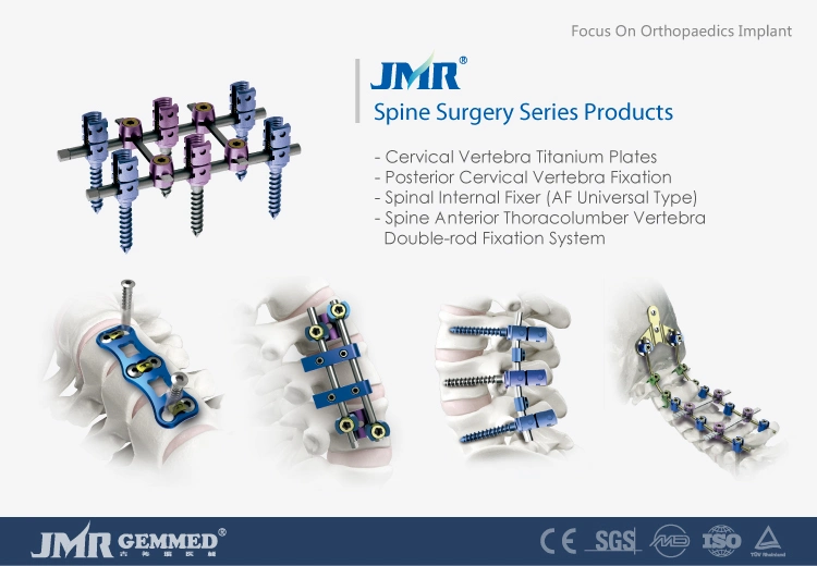 Low Profile Notch Incisura Poly Mono Axial Pedicle U Type Breakable Poly Axial Pedicle Screw