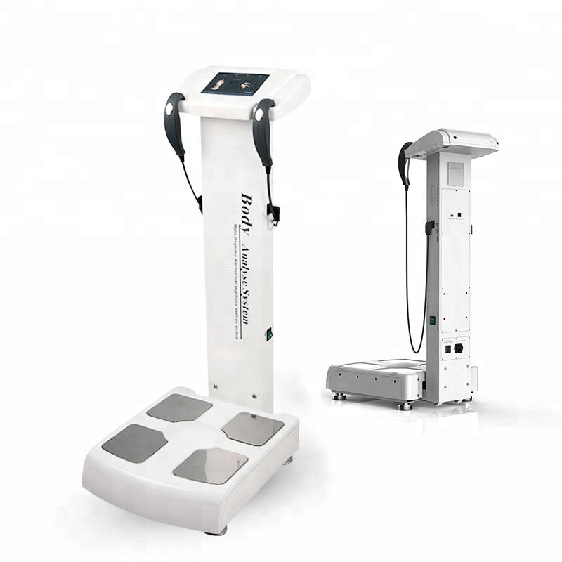 Body Composition Fat Quantum Magnetic Resonance Skin Body Analyzer