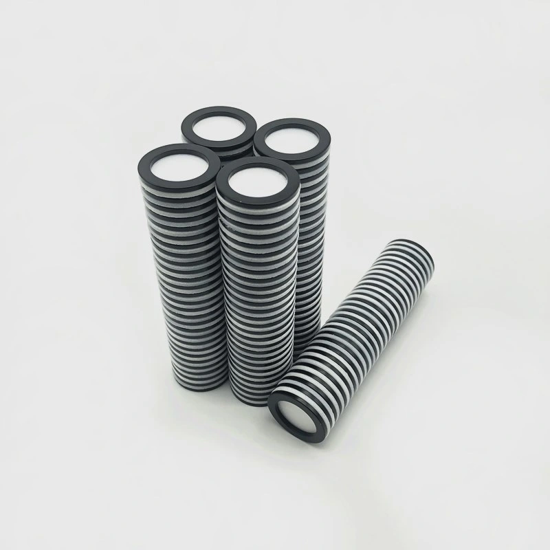 Permanent Strong Ring Neodymium Speaker Magnet Epoxy Coating