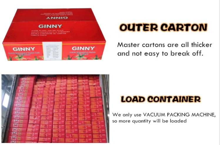 Wholesale Tomato Paste 400g Canned Food Canned Tomato Brands to Cotonou
