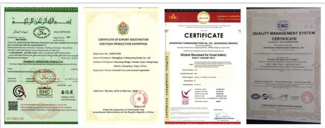 Canned Food Canned Whole Mushroom Food with Good Price