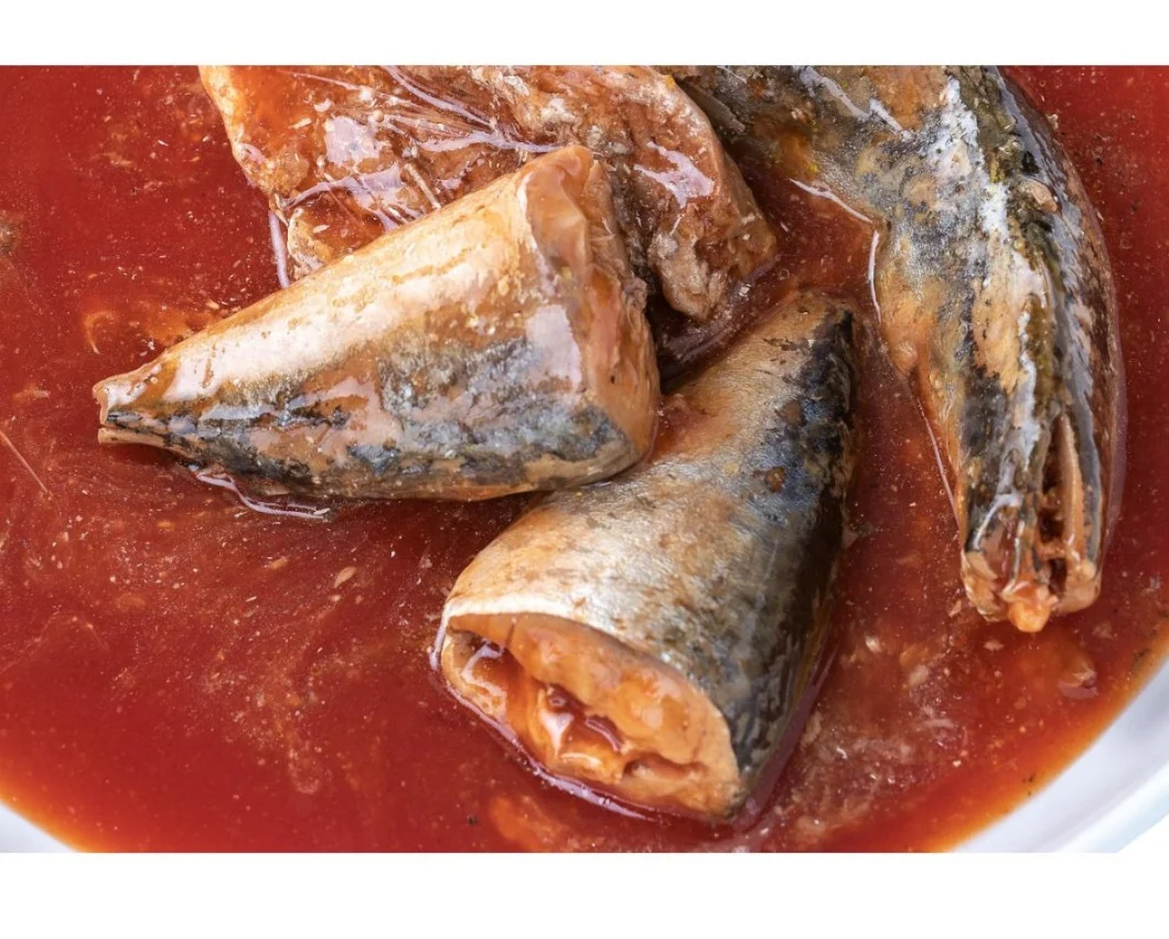 Canned Sea Food Sardine Canned in Tomato Sauce Sardine Fish on Sale