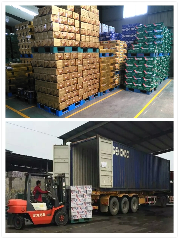 Chinese Wholesale Can Beer with Non Alcoholic Beer Fruit Beer