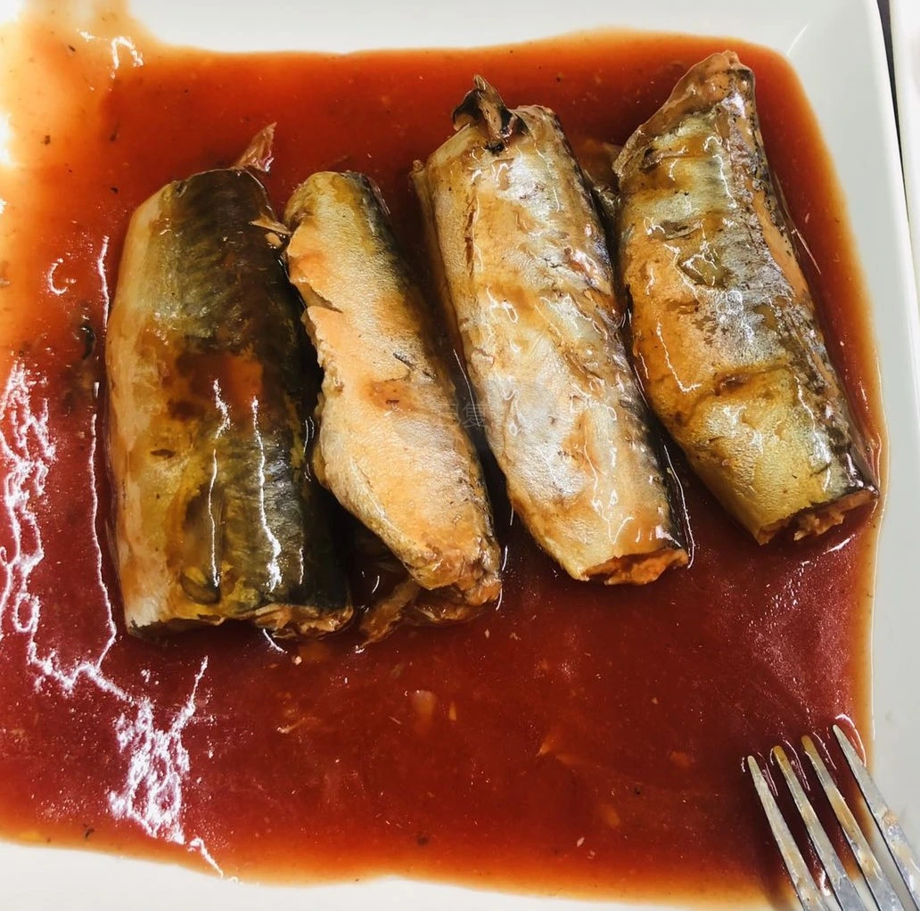 Canned Food Canned Fish Canned Sardine/ Tuna/ Mackerel