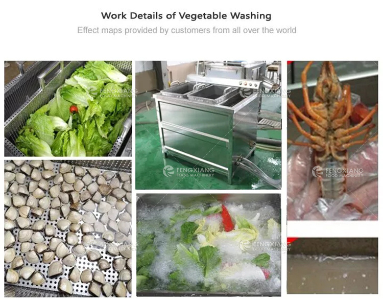 Meat Processing Machine Frozen Chicken Thawing Machine Frozen Meat Thawing Machine