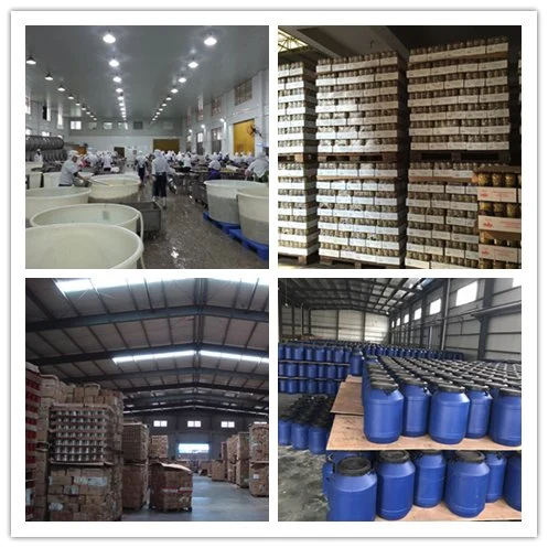 Fish Canned Fish Canned Mackerel in Brine