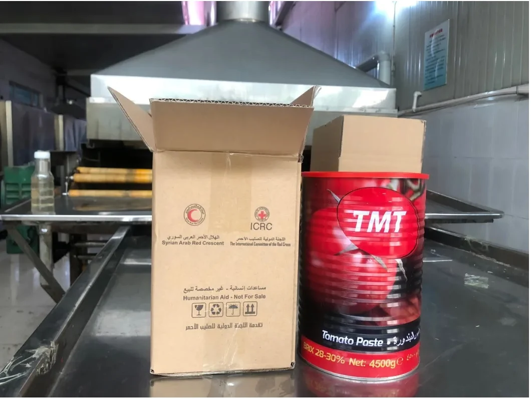 Canned Tomato Paste 70g with Organic Raw Material