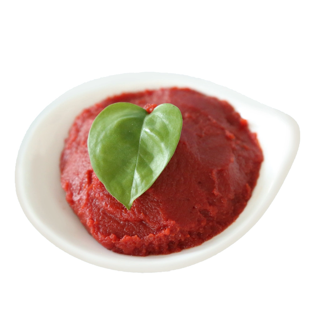 Wholesale Tomato Paste 400g Canned Food Canned Tomato Brands to Cotonou